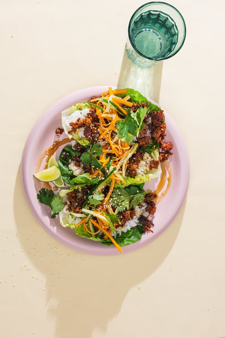 Bulgogi med vegetardeig i hjertesalat med friske grønnsaker, koriander og ris