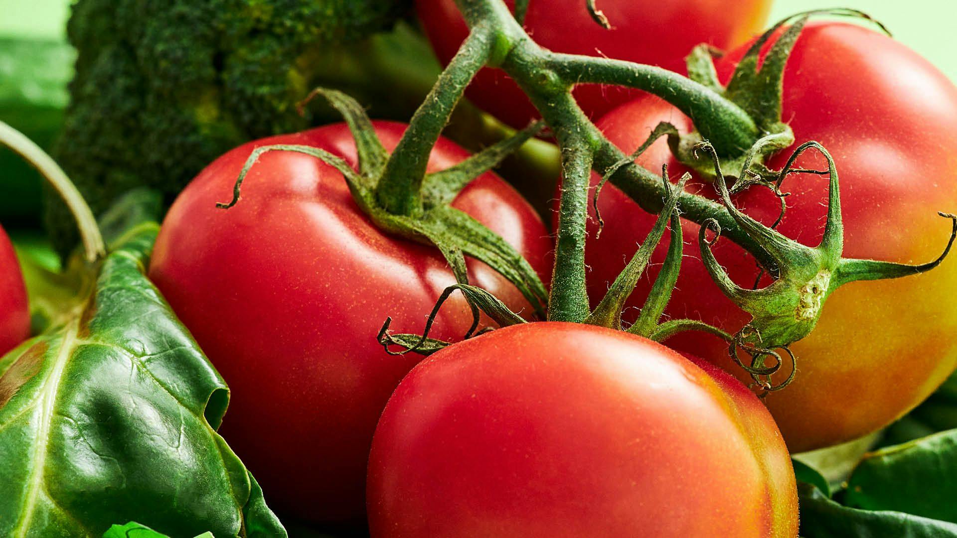 Oppbevaring av tomater